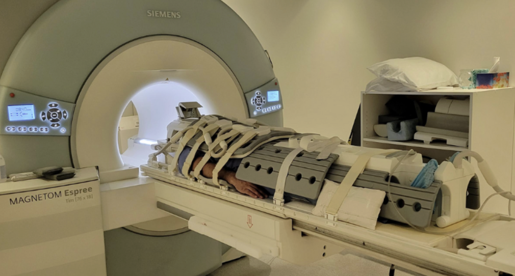 Whole Body MRI Scan
